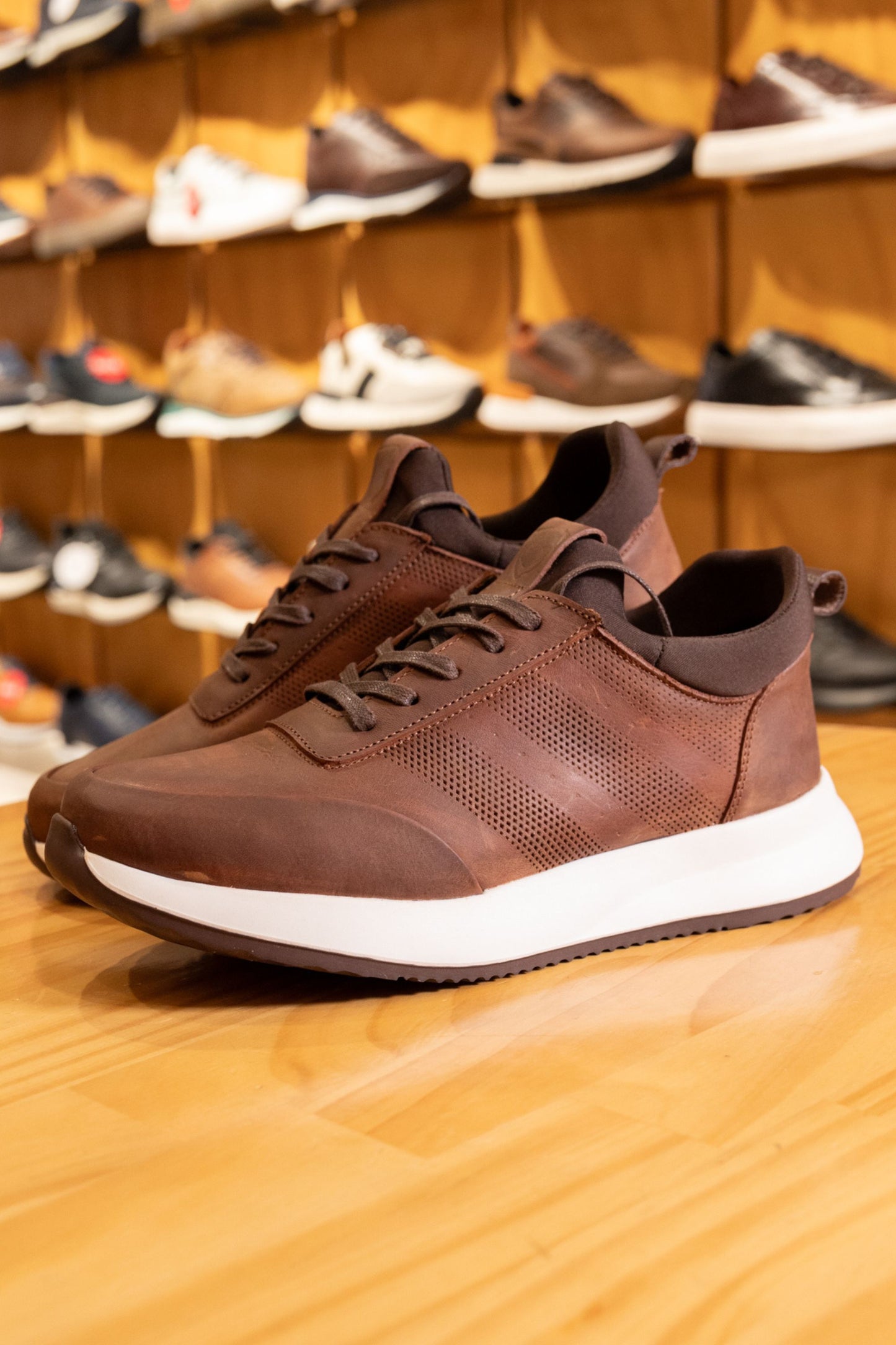 TENIS EN CUERO MIEL ENCERADO PARA HOMBRE REF: FERRARA 3216